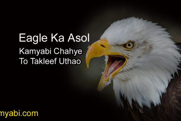 Story of an Egle-Life Lesson to Learn From an Eagle-Rebirth of an Eagle
